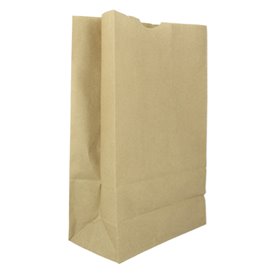 Paper bags, the ECO alternative to plastic bags